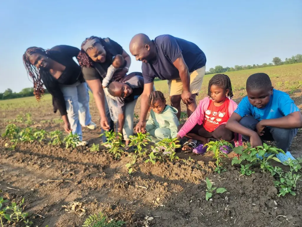The Resolve Farms team planting seedlings by hand